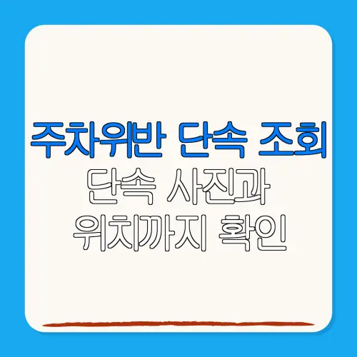 주차위반 단속 조회단속 사진과위치까지 확인