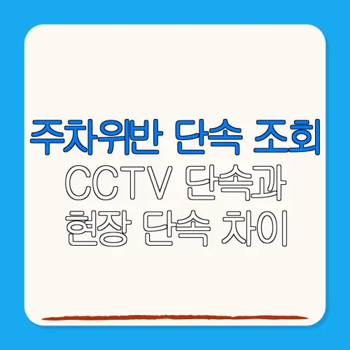 주차위반 단속 조회CCTV 단속과현장 단속 차이