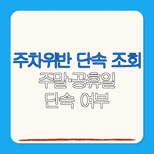 주차위반 단속 조회주말·공휴일단속 여부