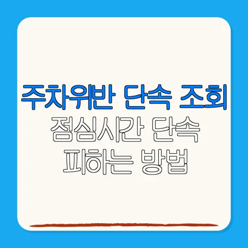 주차위반 단속 조회점심시간 단속피하는 방법