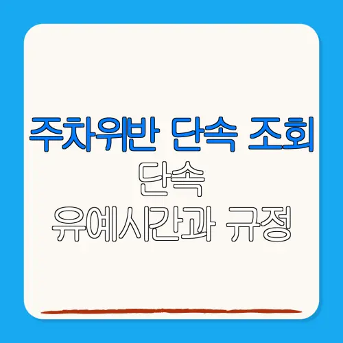 주차위반 단속 조회단속유예시간과 규정