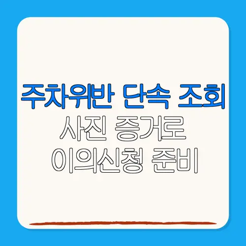 주차위반 단속 조회사진 증거로이의신청 준비
