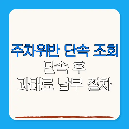 주차위반 단속 조회단속 후과태료 납부 절차