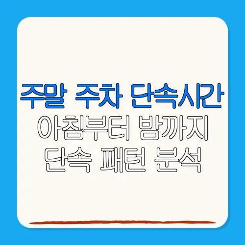 주말 주차 단속시간아침부터 밤까지단속 패턴 분석