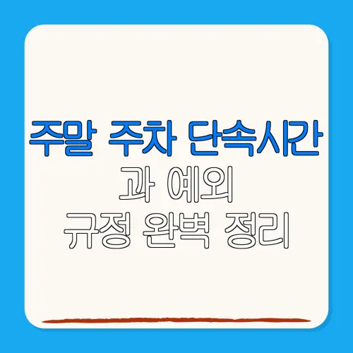 주말 주차 단속시간과 예외규정 완벽 정리