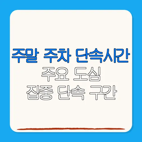 주말 주차 단속시간주요 도심집중 단속 구간