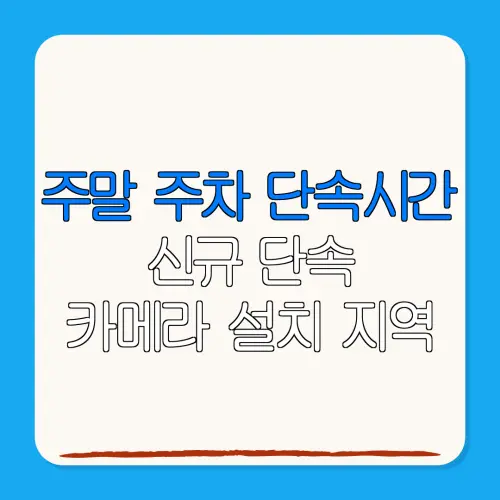 주말 주차 단속시간신규 단속카메라 설치 지역