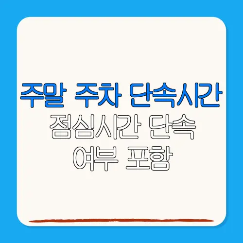 주말 주차 단속시간점심시간 단속여부 포함