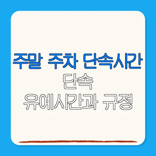 주말 주차 단속시간단속유예시간과 규정