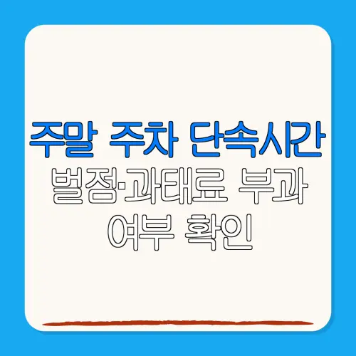 주말 주차 단속시간벌점·과태료 부과여부 확인