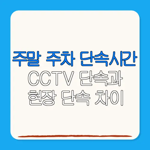 주말 주차 단속시간CCTV 단속과현장 단속 차이