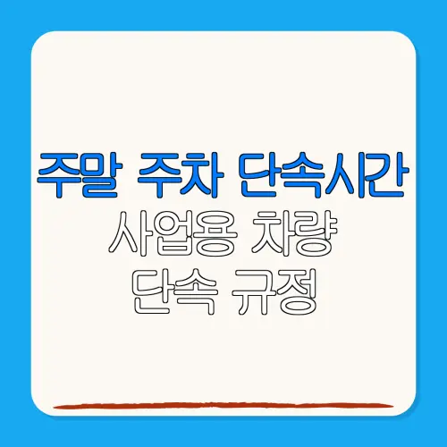 주말 주차 단속시간사업용 차량단속 규정