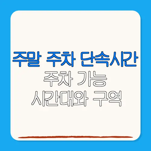 주말 주차 단속시간주차 가능시간대와 구역