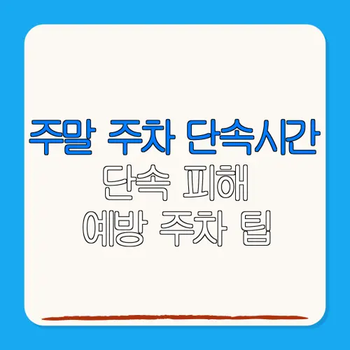 주말 주차 단속시간단속 피해예방 주차 팁