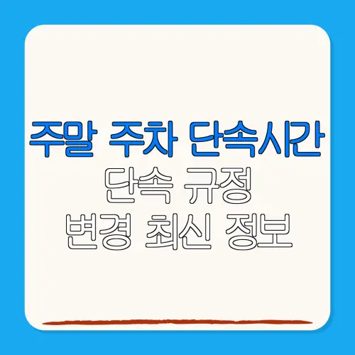 주말 주차 단속시간단속 규정변경 최신 정보