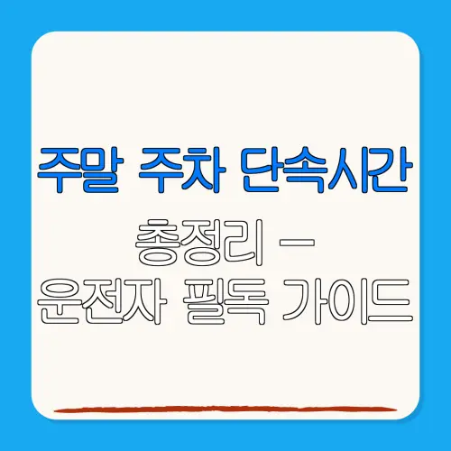 주말 주차 단속시간총정리 –운전자 필독 가이드