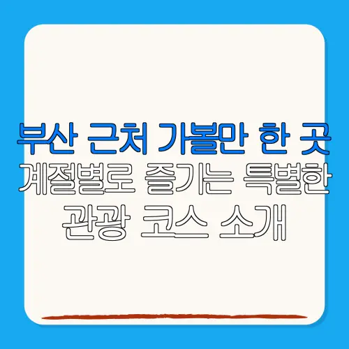 부산 근처 가볼만 한 곳계절별로 즐기는 특별한관광 코스 소개