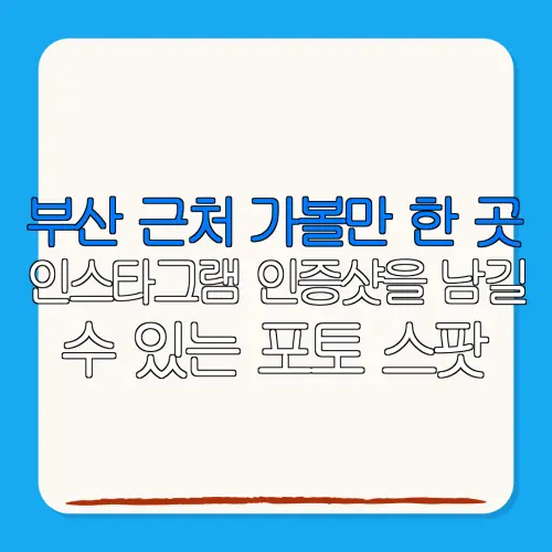 부산 근처 가볼만 한 곳인스타그램 인증샷을 남길수 있는 포토 스팟