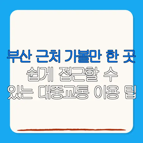부산 근처 가볼만 한 곳쉽게 접근할 수있는 대중교통 이용 팁